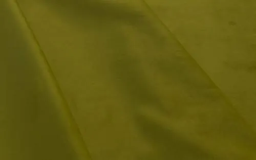 Olive Plain