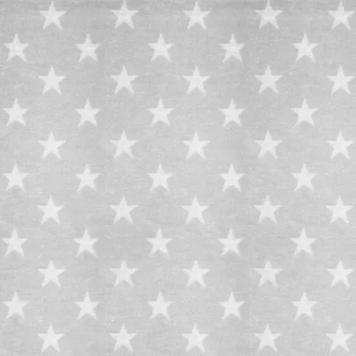 Star 04