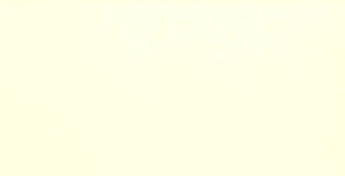 Молочный дуб