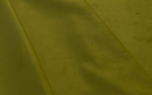 Olive Plain