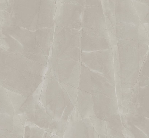 S3669 (4 кат.)