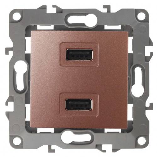 Розетка USB Эра 12 Медь 