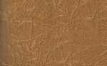 Terra Lux 06