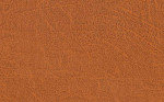 Terra Lux 19